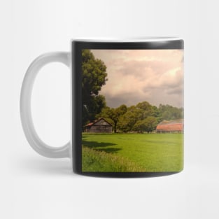 ibs ol homestead Mug